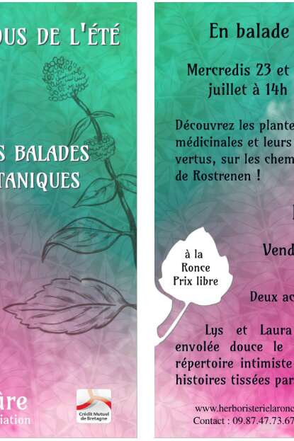 Balades Plantes médicinales