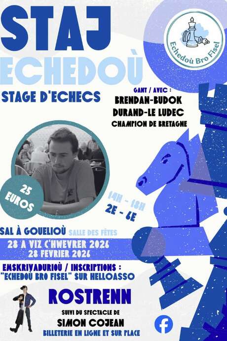 Stage d'échecs