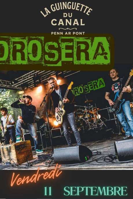 Concert de Drosera