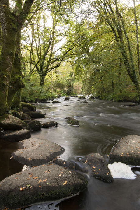 Balade géologique : vallée de l'Ellé & bois de Ste Barbe