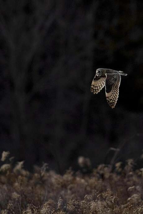 La Blavet au naturel : balade nocturne