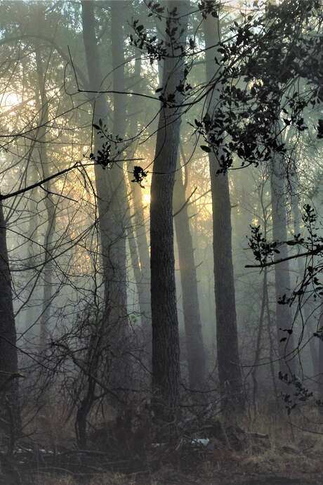 Balade Contée à Loc-Envel