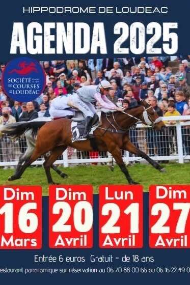 Courses hippiques