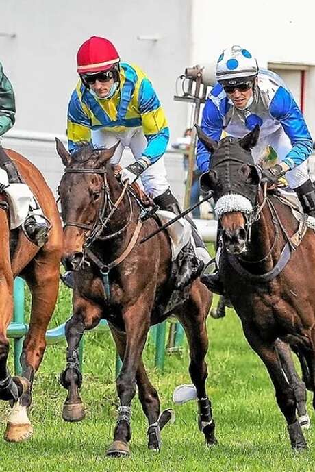 Courses hippiques