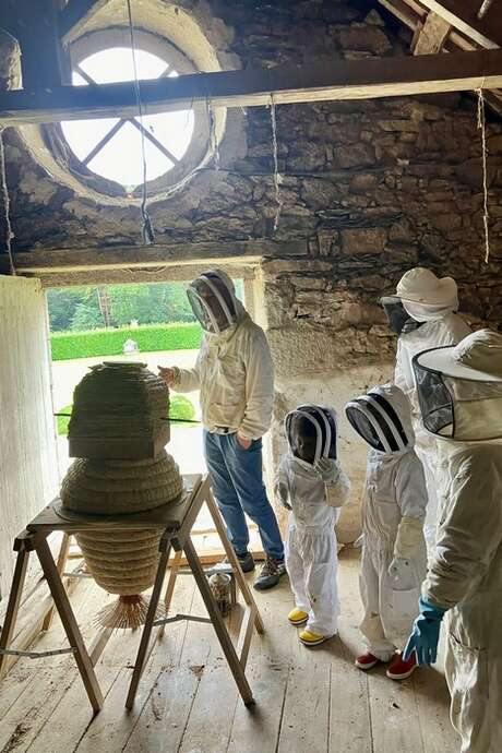 Week-end découverte Apiculture naturelle - Comment gérer un petit rucher