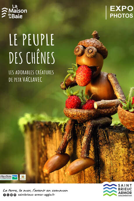 Exposition "Le peuple des chênes" : LE LEGUER EN FÊTE Exposition "Le peuple des chênes" : LE LEGUER EN FÊTE