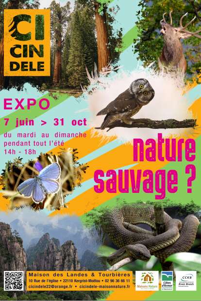 Exposition Nature sauvage... ?