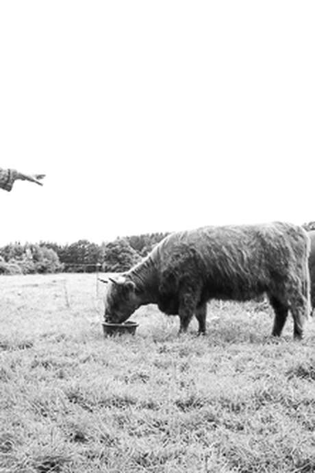 Exposition nature et (agri)culture « Paysâmes »