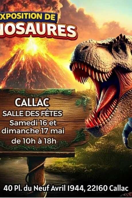 Exposition découverte de l’histoire des Dinosaures