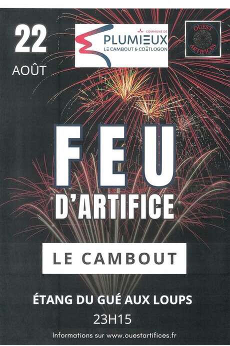 Feu d'artifice