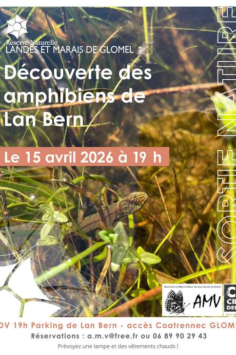 A la découverte des amphibiens de Lan Bern