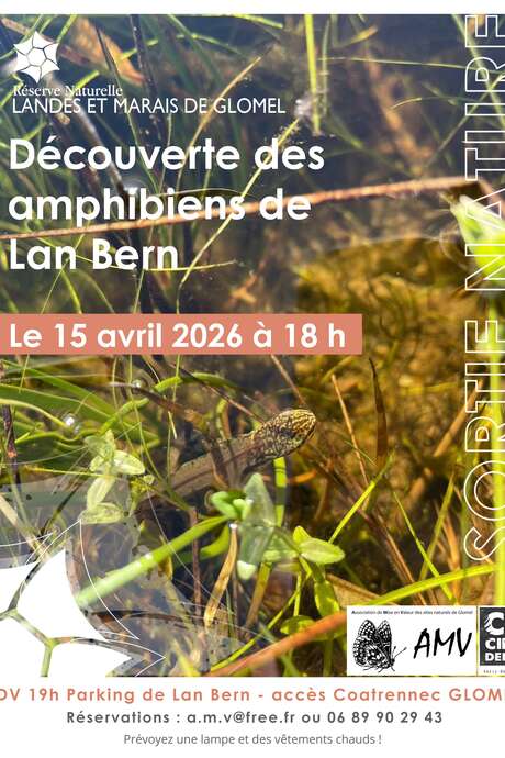 A la découverte des amphibiens de Lan Bern