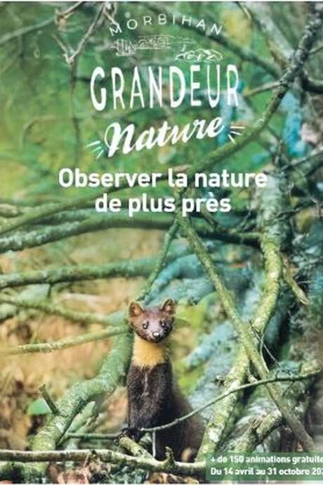 Grandeur nature : biodiversité tout azimut !