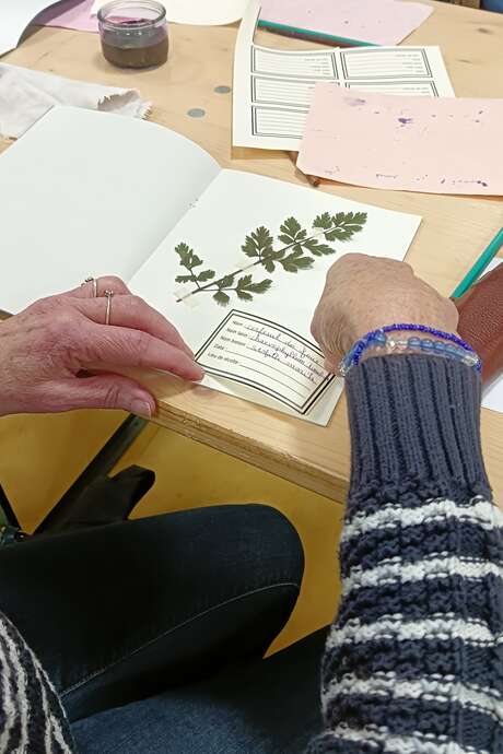 Atelier Herbier
