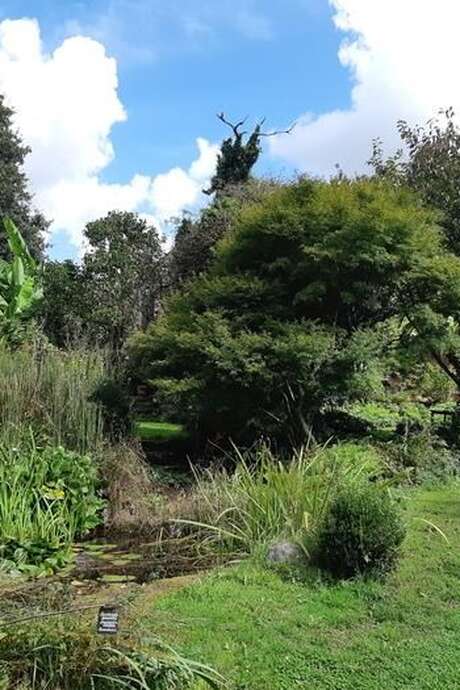 Rendez-vous aux jardins - Jardin du Roc'h