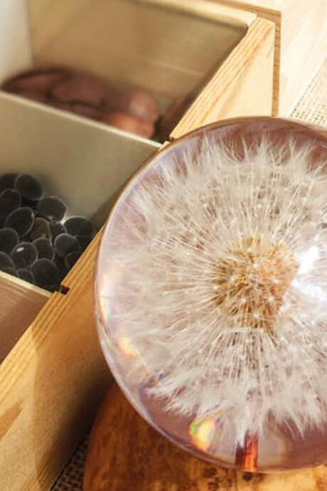 Le fabuleux voyage des graines