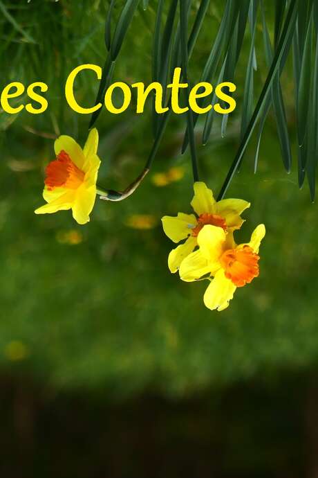 Les Contes Insensés à Loc-Envel