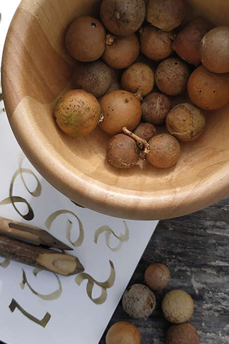 Les recettes du copiste – atelier encre médiévale