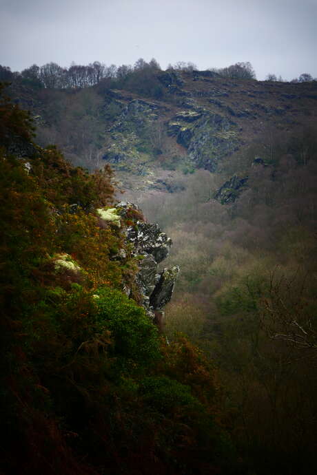 Les Gorges du Daoulas