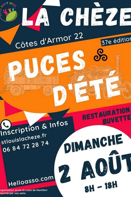 Puces d'été