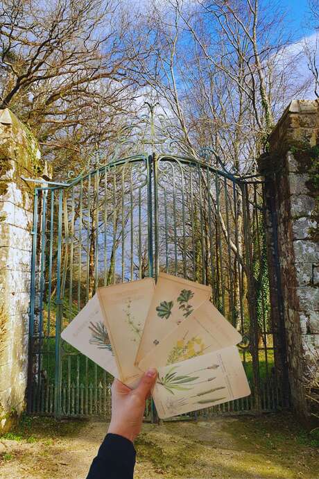 Les petites échappées : Le pouvoir des plantes