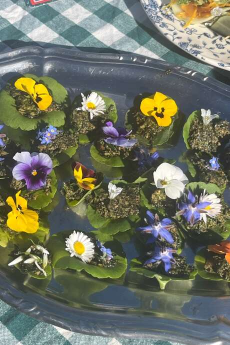 Les grandes échappées : cuisiner les plantes sauvages