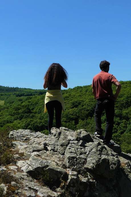 Rando contée en forêt : le Rocher de la Pie, paysages de la Vallée du Léguer