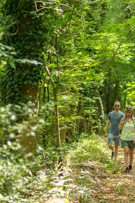 La Rando Bretagne 2026