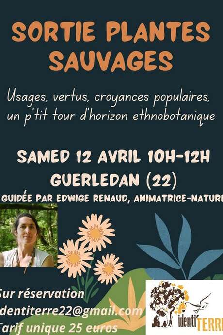 Sortie plantes sauvages