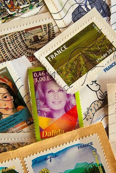 Salon multi collections