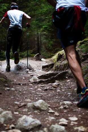 Trail nocturne - Course aux dahus