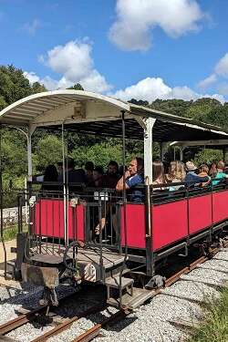 Le Train du Marché