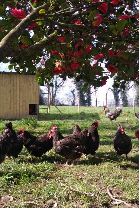 La ferme Mamm Douar