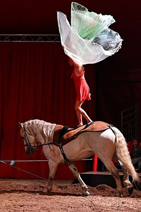 Festival du jeu au Pays du roi Morvan : Spectacle équestre « Cirque de Deux Mains » Festival du jeu au Pays du roi Morvan : Spectacle équestre « Cirque de Deux Mains »