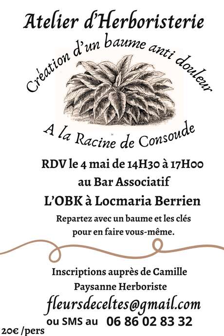 Atelier d'herboristerie à l'OBK de Locmaria-Berrien