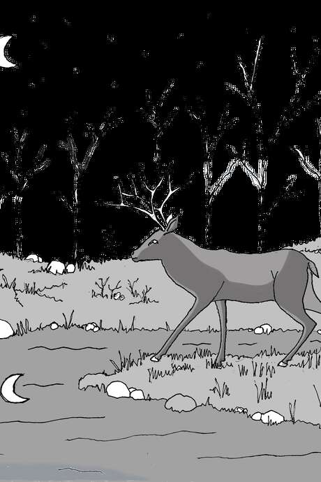 Atelier Dessin et infographie