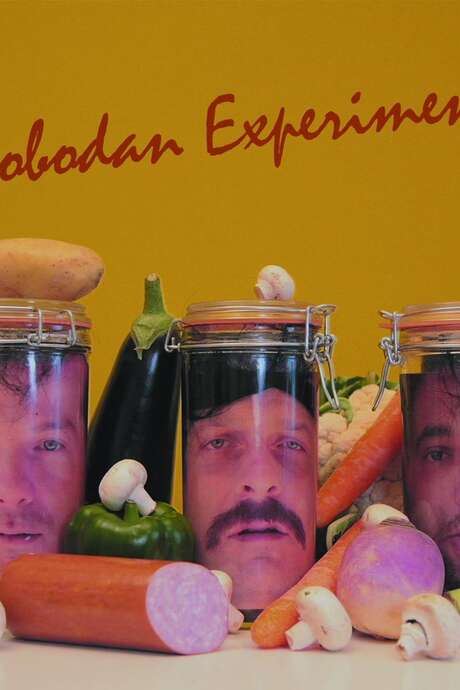 Slobodan Expériment en concert