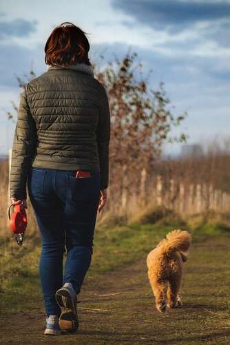 Cani-marche
