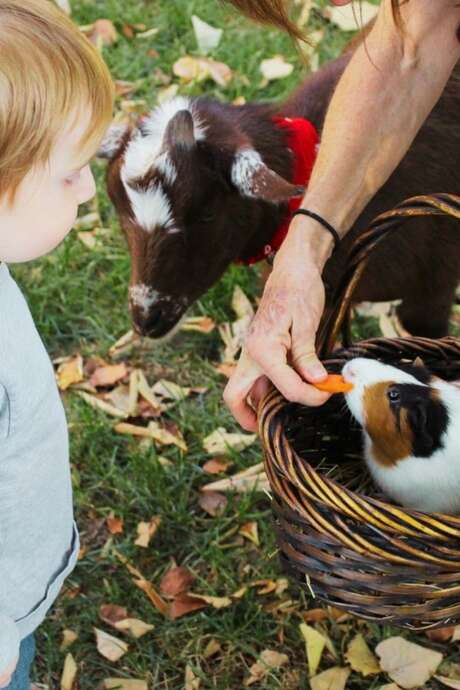 Atelier Fermier en Herbe (3-6 ans)