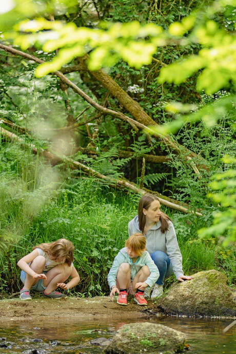 Centre Morbihan Tourisme : escape nature « L'arrivée des Trappeurs : la loutre »