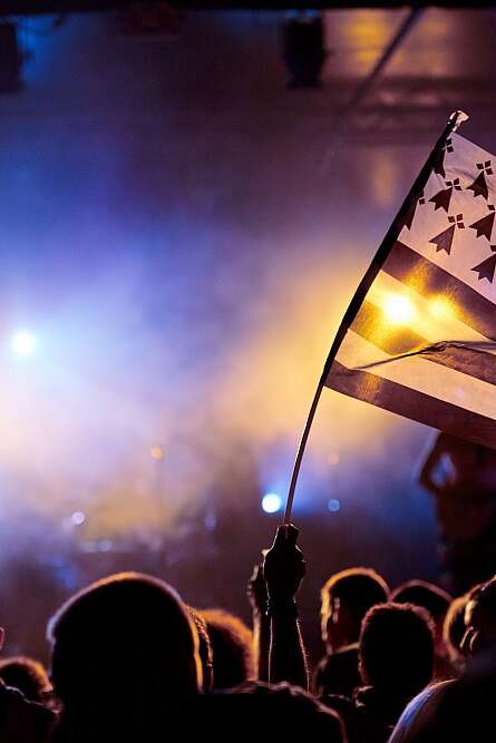 Festival Fury