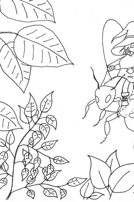 Atelier Dessin/infographie