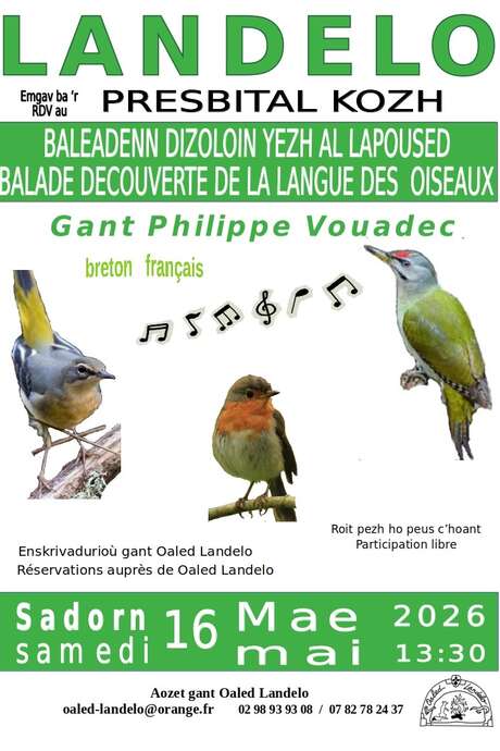 Balade découverte de la langue des oiseaux