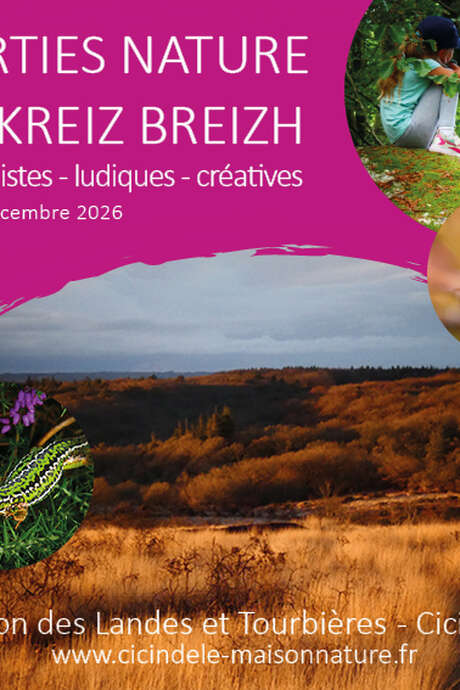 En quête de chouettes - Sortie Nature