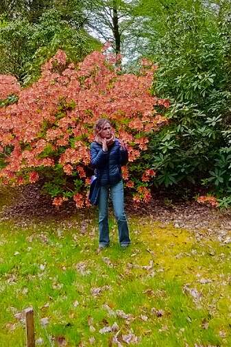Sur les traces des chasseurs de plantes