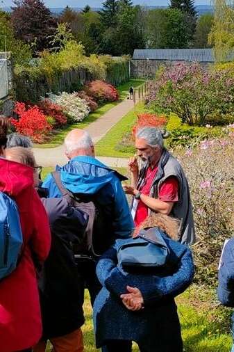 Visite botanique Le rhodo s'effeuille...