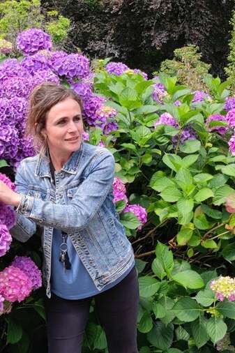 Histoires d'hortensia