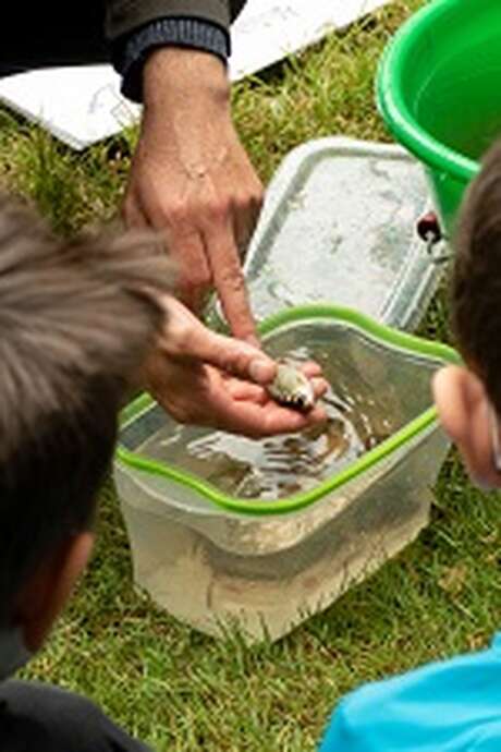 Les petites échappées : initiation à la pêche