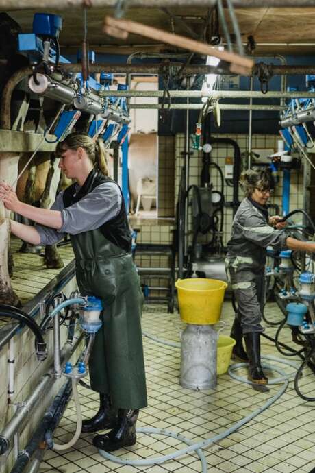 Atelier Traite des Vaches Atelier Traite des Vaches