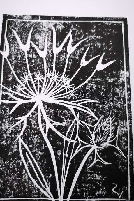 Linogravure